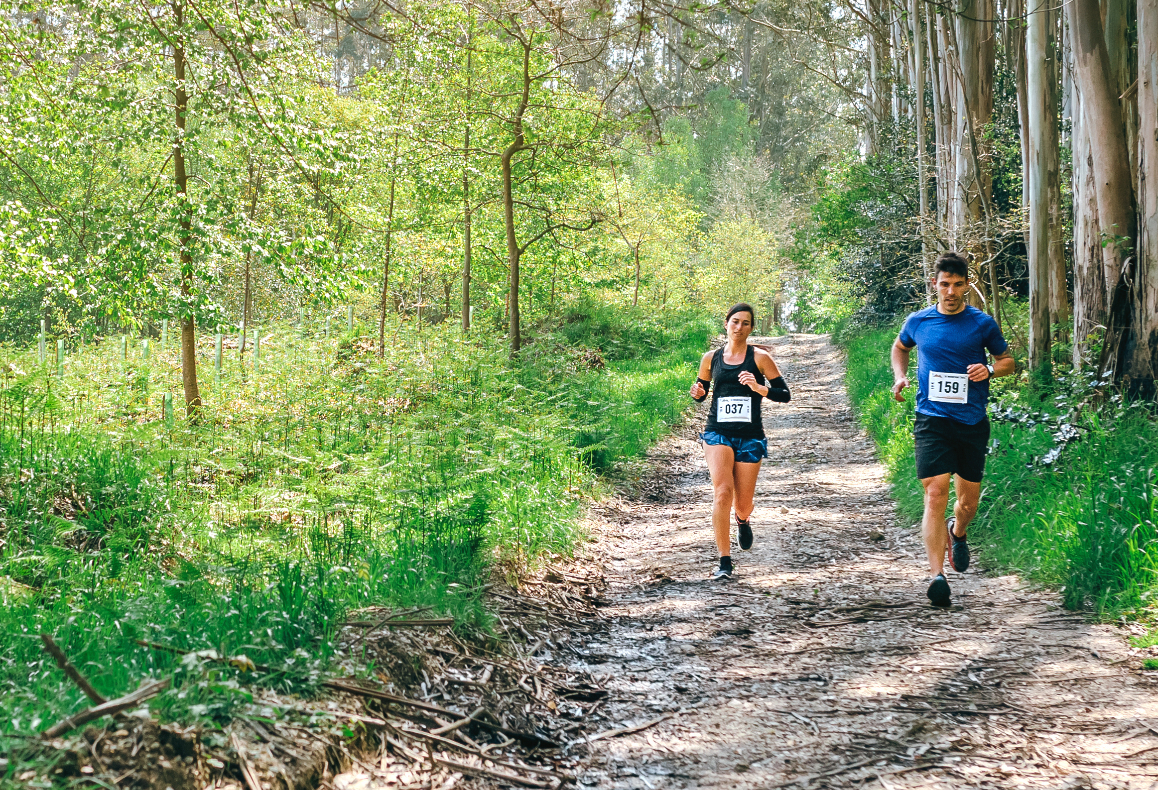 Forest Bathing